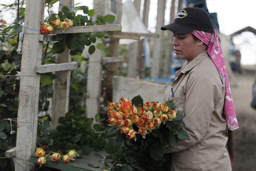 Colombian government to maintain minimum wage increase