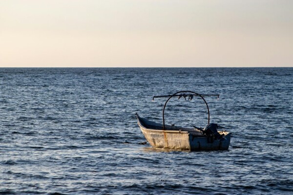 Explore the Flavors of Don Colombia: 7 Typical Dishes to Try